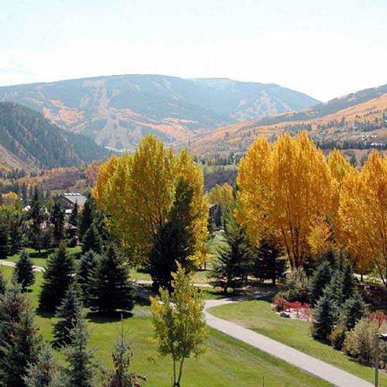 Beaver Creek West Condos Avon Facilités photo